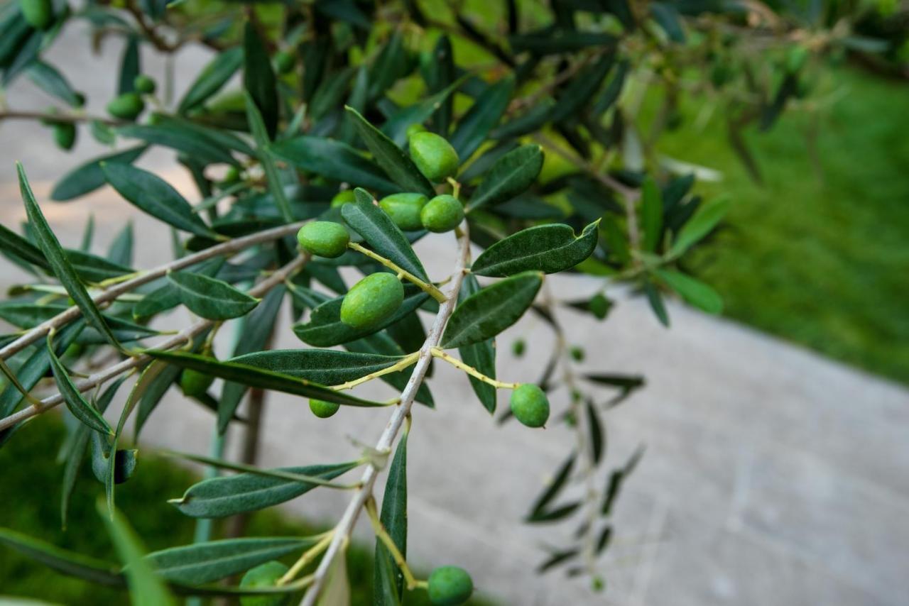 Appartamento Olive 302 Peraía Esterno foto